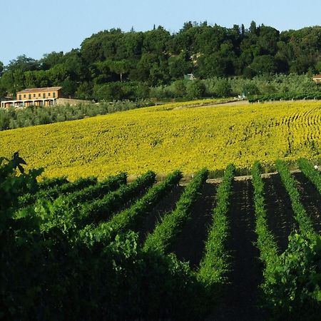 Bio Agriturismo Il Torrione Saturnia Eksteriør bilde