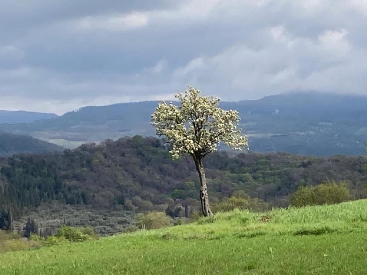 Bio Agriturismo Il Torrione Saturnia Eksteriør bilde