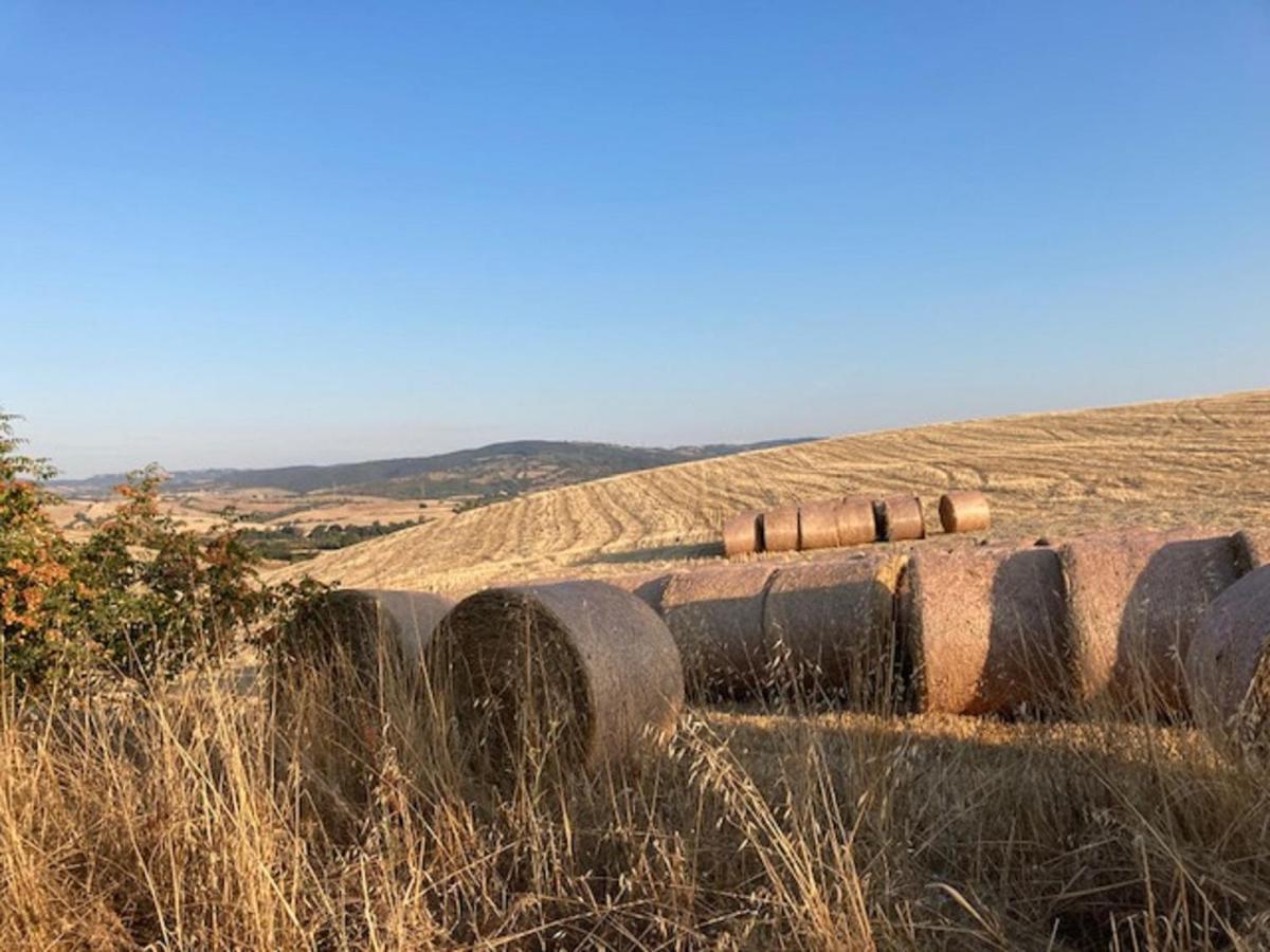 Bio Agriturismo Il Torrione Saturnia Eksteriør bilde