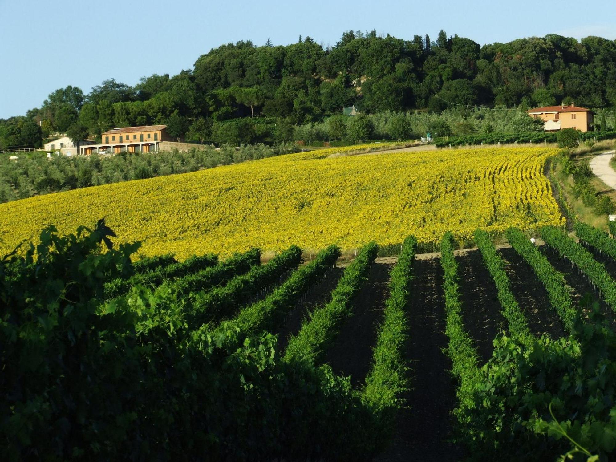 Bio Agriturismo Il Torrione Saturnia Eksteriør bilde